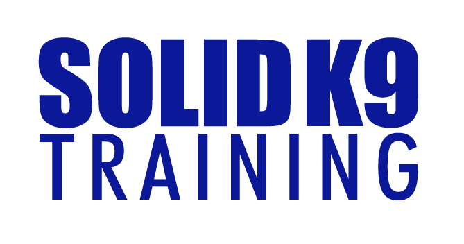 Solid k9 online dog training